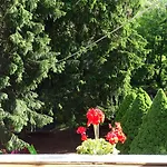 Bed & Breakfast Pensione Bianca 3*