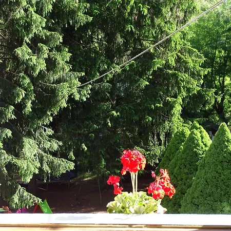 Bed & Breakfast Bianca 3*